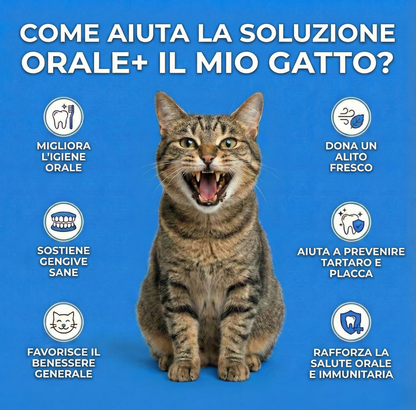 Orale+ - Soluzione igiene dentale gatti