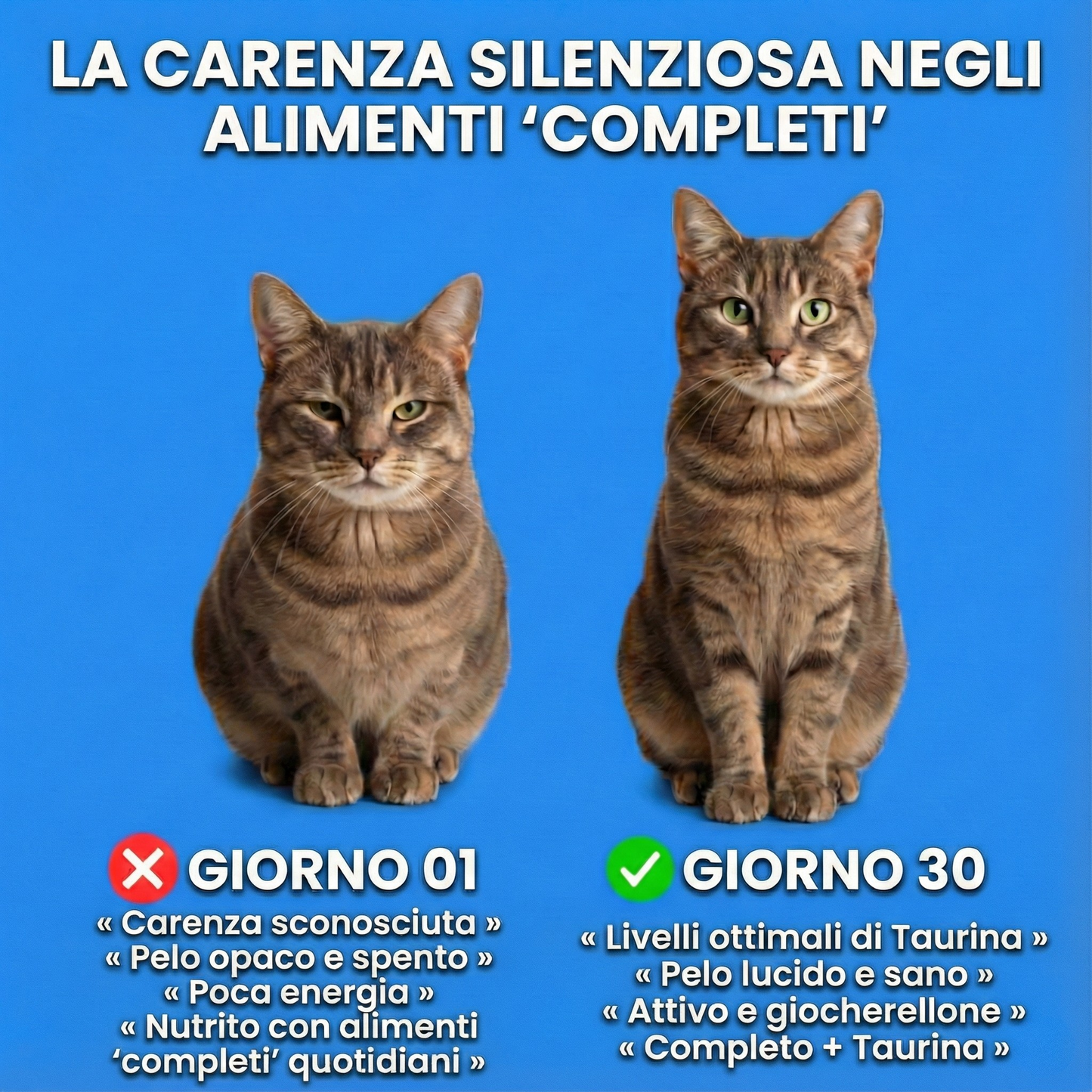 TaurinaPura+ - N. 1 raccomandato dai veterinari