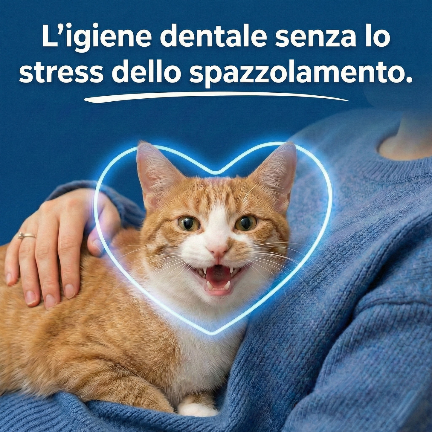 Orale+ - Soluzione igiene dentale gatti