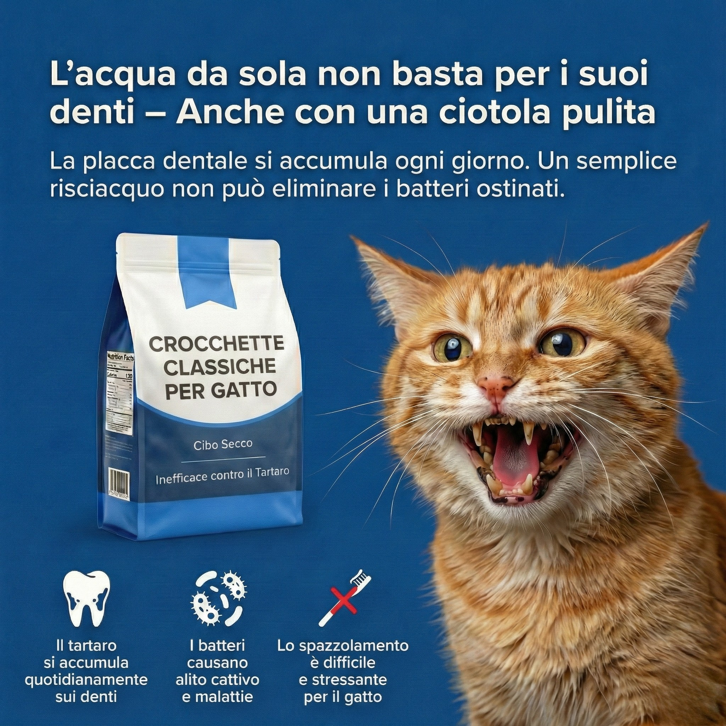Orale+ - Soluzione igiene dentale gatti