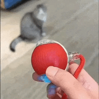 Gioco Interattivo
