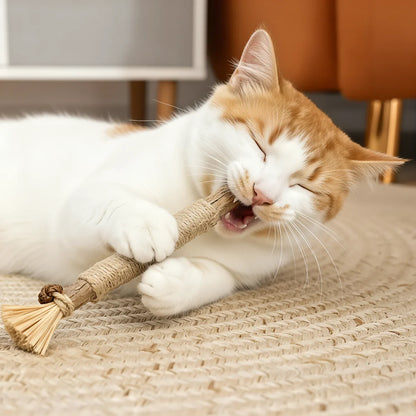 3x Bastoncini masticabili per l'igiene dentale