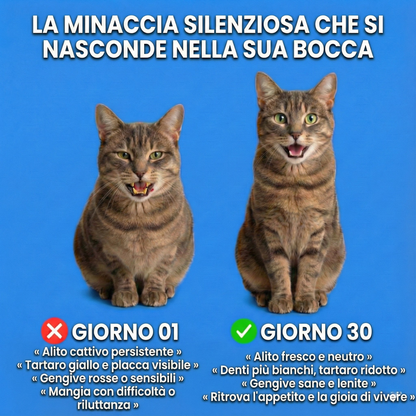 Orale+ - Soluzione igiene dentale gatti