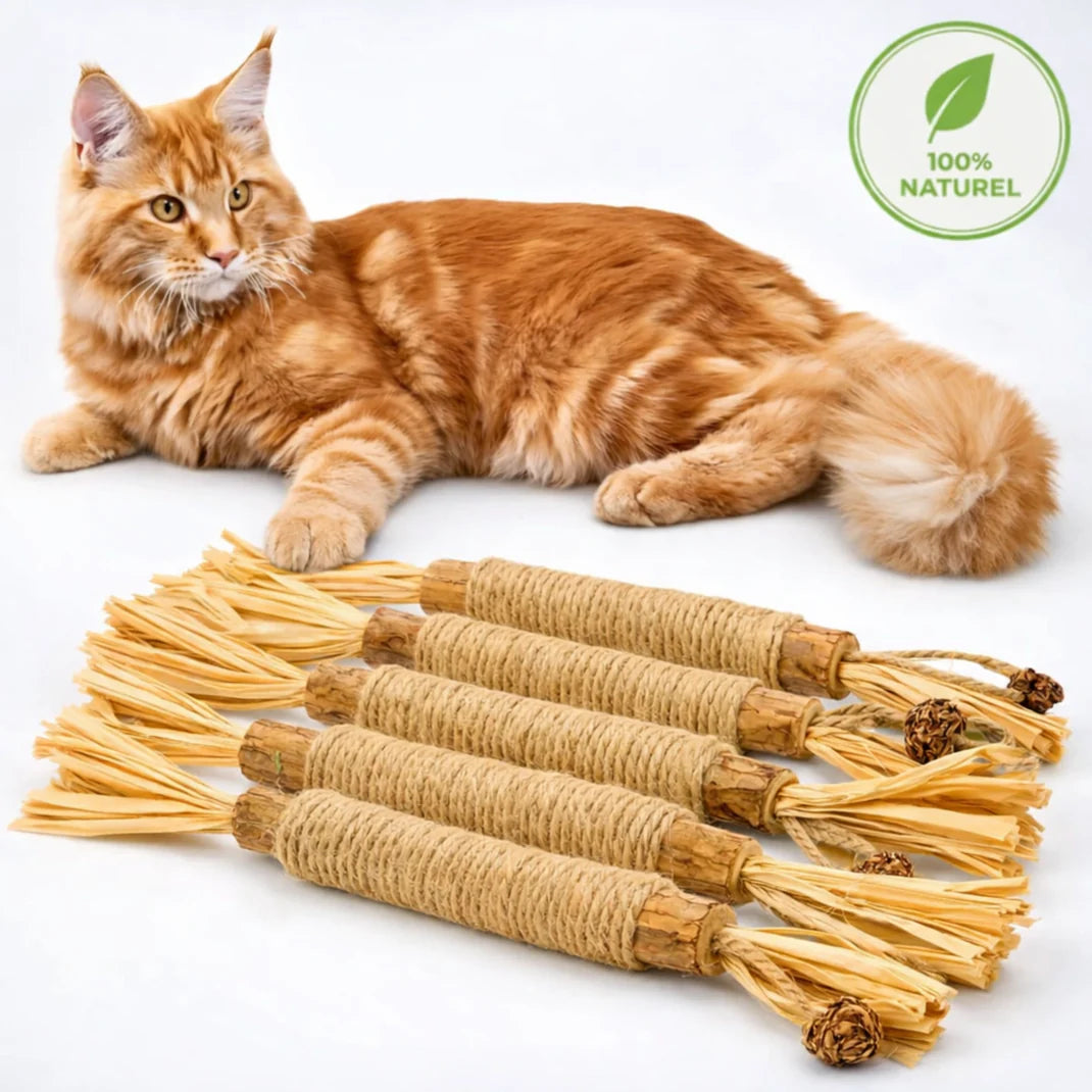 3x Bastoncini masticabili per l'igiene dentale