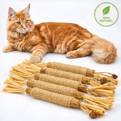 3x Bastoncini masticabili per l'igiene dentale